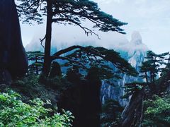 -黄山风景区