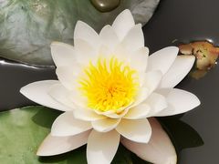 -团结湖公园