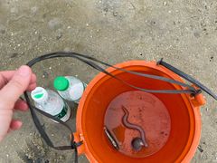 -红树林天天赶海