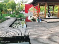 -武清南湖绿博园