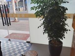 -泰古龙抓龙筋·spa按摩(浦东店)