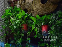 -杭州街角花屋花店(闻堰店)