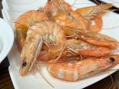 -鲁前海沿儿