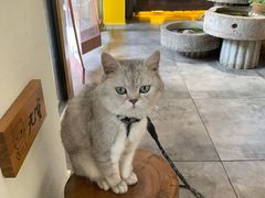 -冰拾叁(新都店)