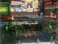 -宝轩渔府·老字号海鲜·正宗津菜(水上店)