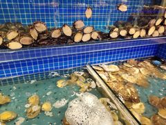 水产区-乔哥铭洋海鲜自助(皇城恒隆广场店)