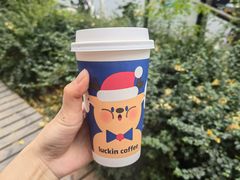 -瑞幸咖啡(凤凰海负一楼美食街店)