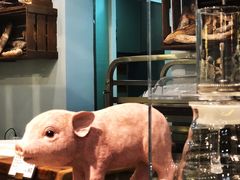 -WHEN PIGS FLY当猪飞