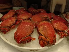 -岷山饭店-芝芝自助餐厅