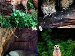 -云南野生动物园