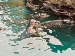 -华夏文旅海洋公园