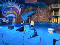 -烟台海昌鲸鲨海洋公园