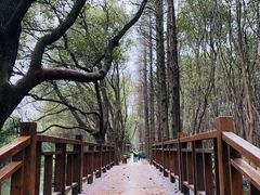 -同里国家湿地公园