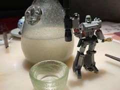 -枚青·临安酒肆(腾飞大厦店)