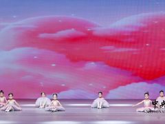 -中央芭蕾舞团·中芭艺蕾(酒仙桥明星校区)