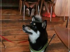 -the rug 飞毯 (朝阳公园店)