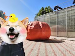 -北戴河集发农业梦想王国