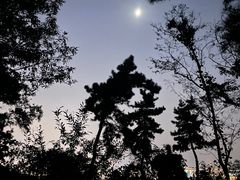 -惠山国家森林公园