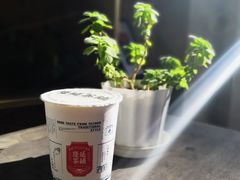 小茉莉奶绿-隆延茶铺(学清路驹然店)