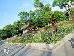 -敬亭山风景名胜区