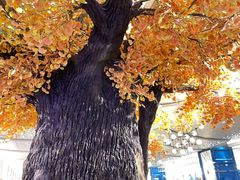 -青水瓦台汤泉(未央店)