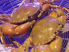 -七欣天香辣蟹火锅(南通任港路大润发店)