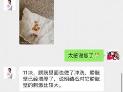 -美联众合动物医院·24h转诊中心