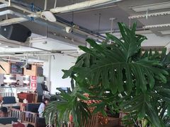 -水边(郯城店)