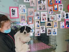 -沐沐家宠物(成寿寺店)