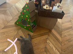 -Me Coffee下午茶艺术空间