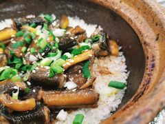 -红星光发煲仔饭(大石街店)
