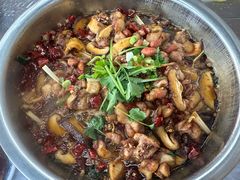 -食神又名厕所兔