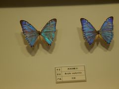 -四川宋瓷博物馆