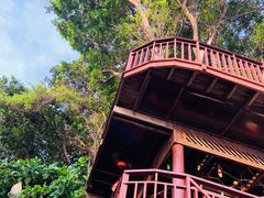 -卷心菜和避孕套餐厅(Pattaya)