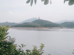 -望湖烤鱼