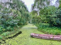 -溱湖国家湿地公园