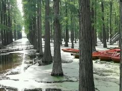 -渌洋湖湿地公园