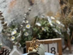 -ABC Cooking Studio(北京颐堤港店)