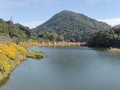 -广州市石门国家森林公园