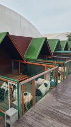 点击看大图 -小蜜蜂农场(凯德七宝购物广场店)