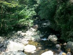 -田峪河公园