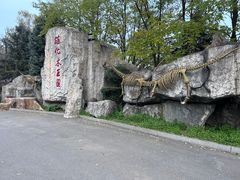 -本溪水洞