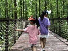 -黄海国家森林公园