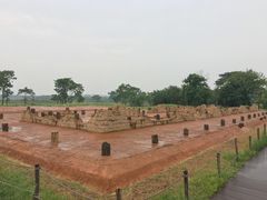 -盘龙城国家考古遗址公园