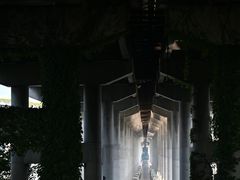 -仓山金山寺