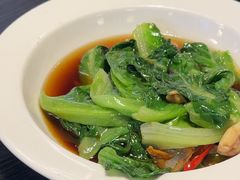 -金鼎轩(鸟巢北辰荟店)