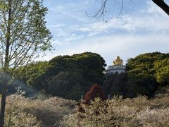 -苏州上方山国家森林公园
