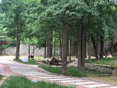 -阳台山自然风景区