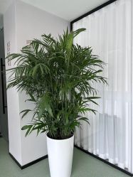 -弗蕾亚·辰月月子度假中心(光谷店)