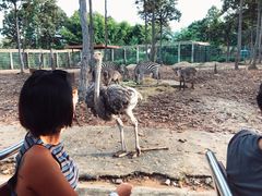 -清迈夜间动物园